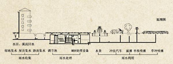 深圳雨水收集