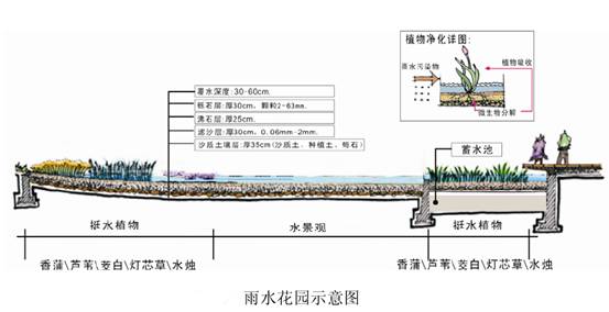 雨水收集